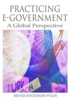 Practicing E-government: A Global Perspective артикул 11841c.